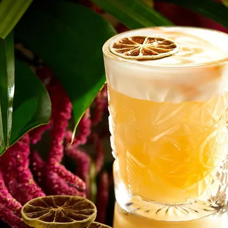 都柏林皇冠假日酒店布兰查 酒店