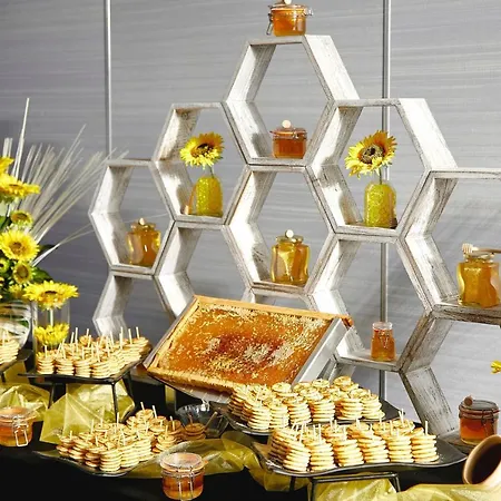 都柏林皇冠假日酒店布兰查