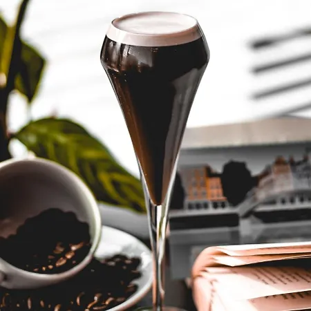 酒店 都柏林皇冠假日酒店布兰查