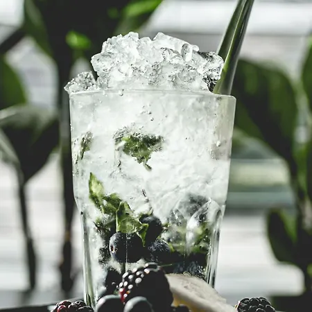 酒店 都柏林皇冠假日酒店布兰查 4*