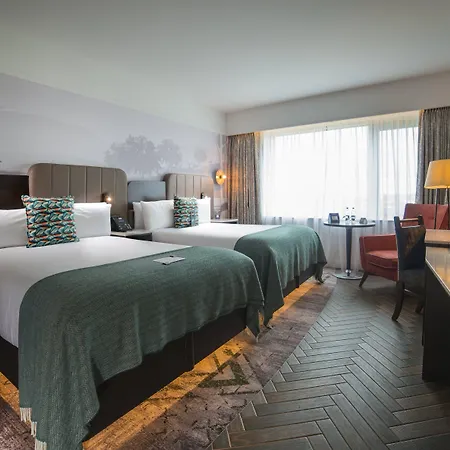 都柏林皇冠假日酒店布兰查 布兰察斯镇