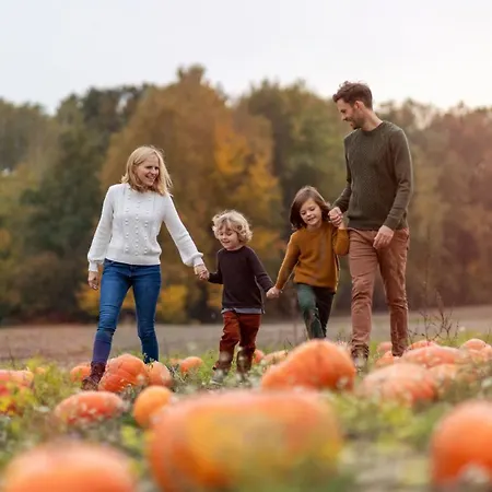 Crowne Plaza Dublin By Ihg Отель Бланчардстаун