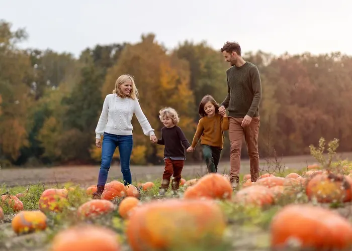 Crowne Plaza Dublin By Ihg Otel Blanchardstown